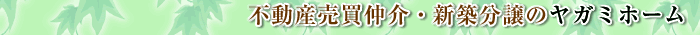 �s���Y��������E�V�z�����̃T�K�~�z�[��